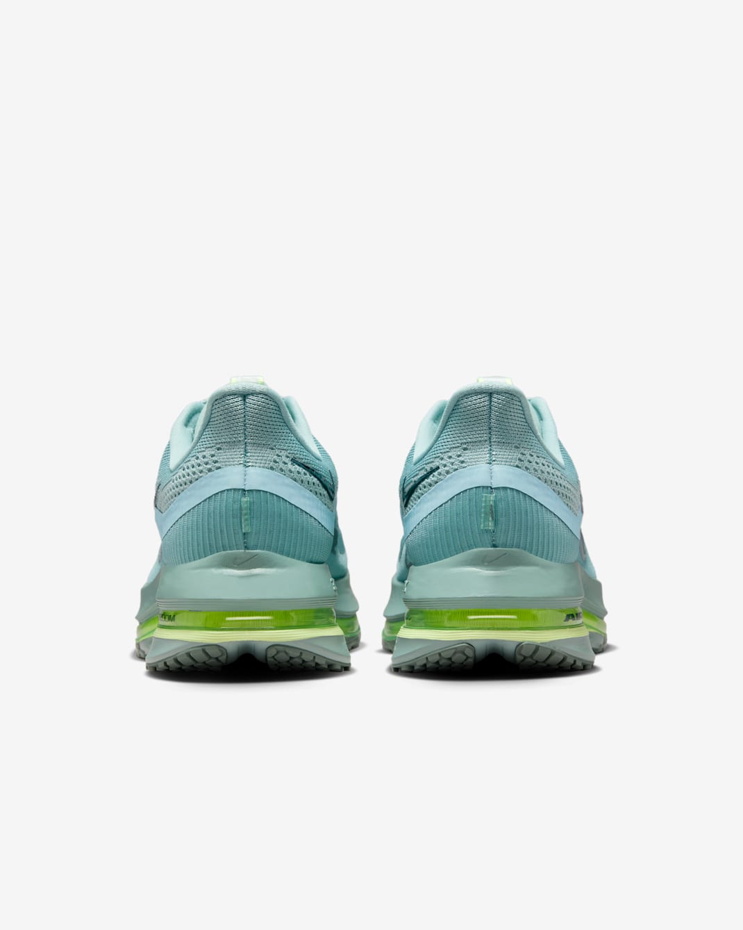 Nike Pegasus Premium